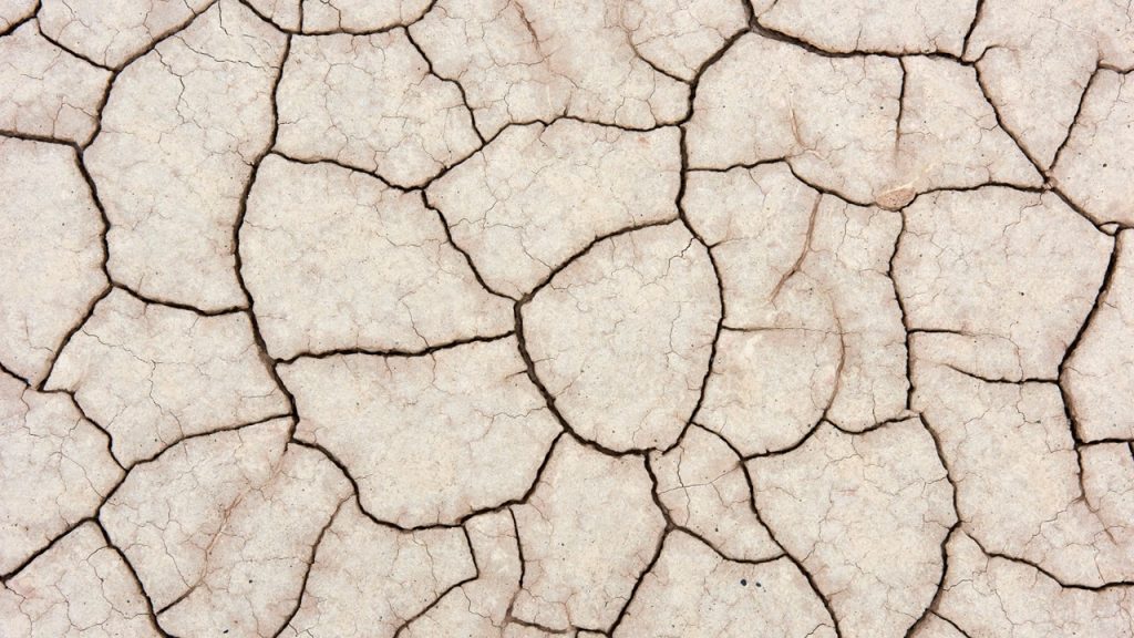 Dry cracked ground
