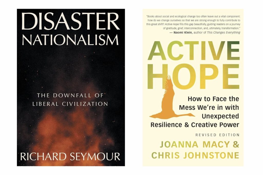 Flaming smoke cover of Disaster Nationalism and flying bird on Active Hope